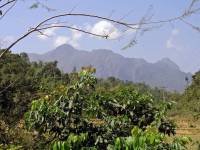 Viengkeo, 40 Kilometer Fahrradtour, Landschaft