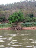 Ban Dan, Fahrt auf dem Mekong