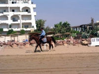 Polizeistreife am Strand