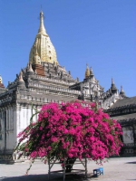 Bagan, Ananda Tempel