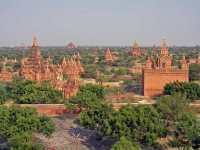 Blick über Bagan