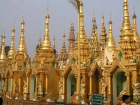 Yangon, in der Shwedagon-Pagode