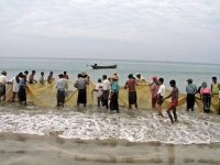 Ngwe Saung, Fischfang