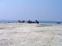 Ngwe Saung, Bambustransport am Strand