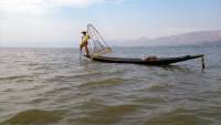 Inle See, Einbeinfischer