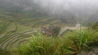 Banaue Reisterrassen