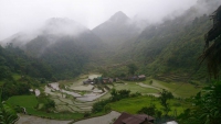 Banaue Reisterrassen