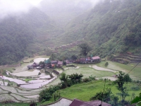 Banaue Reisterrassen