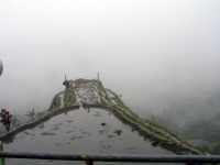 Banaue Reisterrassen