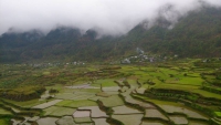 Sagada, Reisterrassen