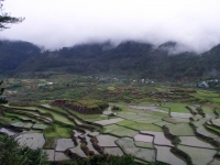 Sagada, Reisterrassen