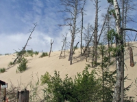 Leba (Łeba), Slowinzischer Nationalpark