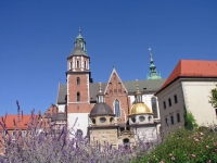 Krakau, Kraków, Wawel Höhe mit Schloss und Kathedrale