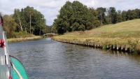 Kanał Elbląski, Oberländischer Kanal, Schiffahrt von kurz vor Buchenwalde (  Buczyniec ) bis Jelonki (Hirschfeld)