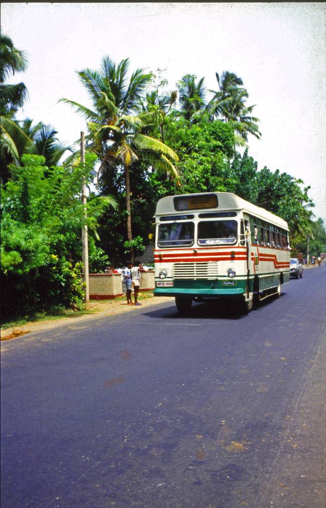 Altuthgama, Linienbus