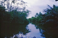 Bentota Fluss, Landschaft