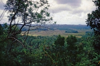 Ausflug zum "Little Adams Peak", Landschaft