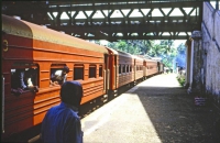 Altuthgama, Bahnhof, Zug