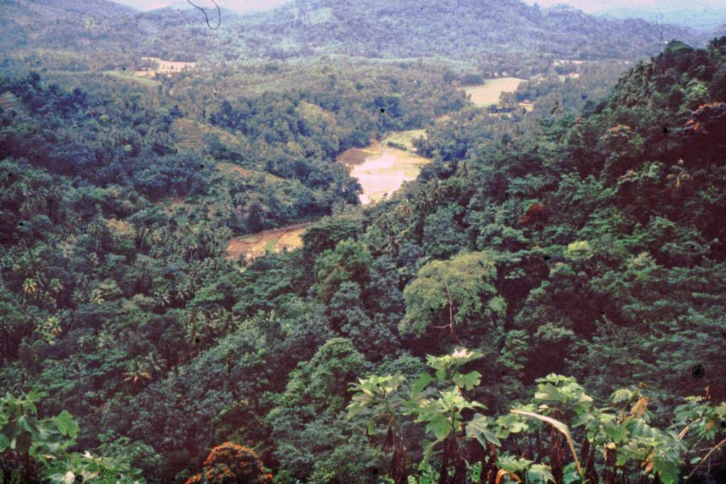 Landschaft vor Kandy