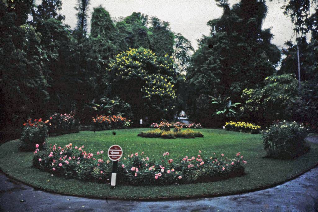Kandy, Paradeniya Botanical Gardens, Eingang