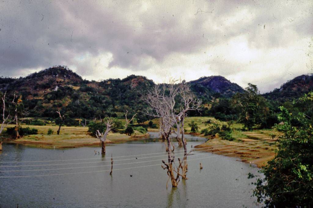 Landschaft auf dem Weg nach Sigiriya