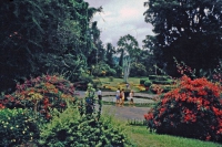Kandy, Paradeniya Botanical Gardens