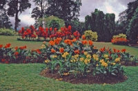 Kandy, Paradeniya Botanical Gardens