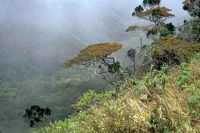 Im jetzigen Nationalpark Horton Plains, World's End