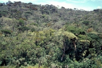 Im jetzigen Nationalpark Horton Plains