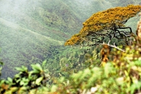 Im jetzigen Nationalpark Horton Plains