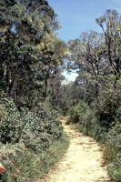 Im jetzigen Nationalpark Horton Plains