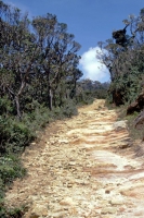 Im jetzigen Nationalpark Horton Plains