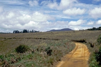 Im jetzigen Nationalpark Horton Plains