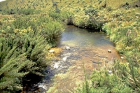 Im jetzigen Nationalpark Horton Plains