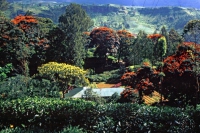 auf dem Weg von Nuwara Eliya zurück Richtung Colombo