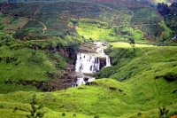 auf dem Weg von Nuwara Eliya zurück Richtung Colombo