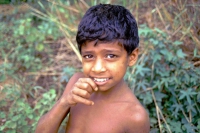 Pitawala, ein junger Begleiter
