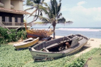 Hikkaduwa, Fischerboote alt und neu im Bau