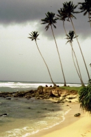 Weligama, Strandszene