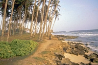 Koggala, Strand