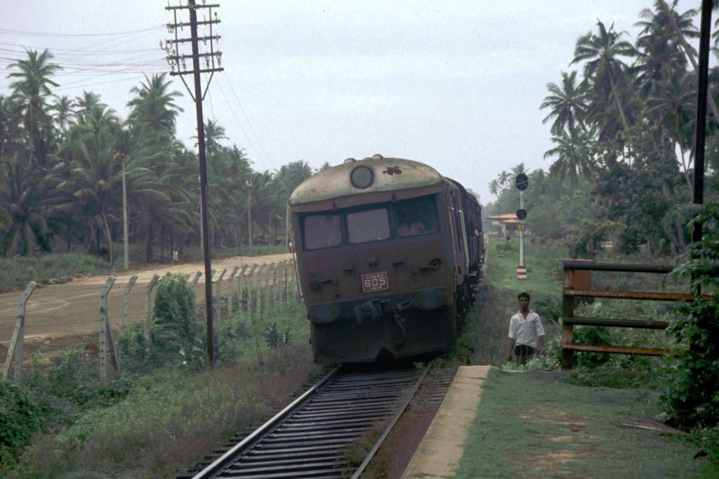 Koggala, ein Zug kurz vor dem Bahnhof