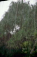 Koggala, Monsunregen