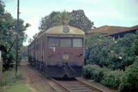 Bentota, Lokomotive