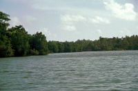 Bootsausflug auf dem Koggala See