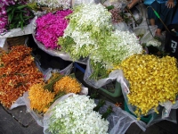 Blumenmarkt