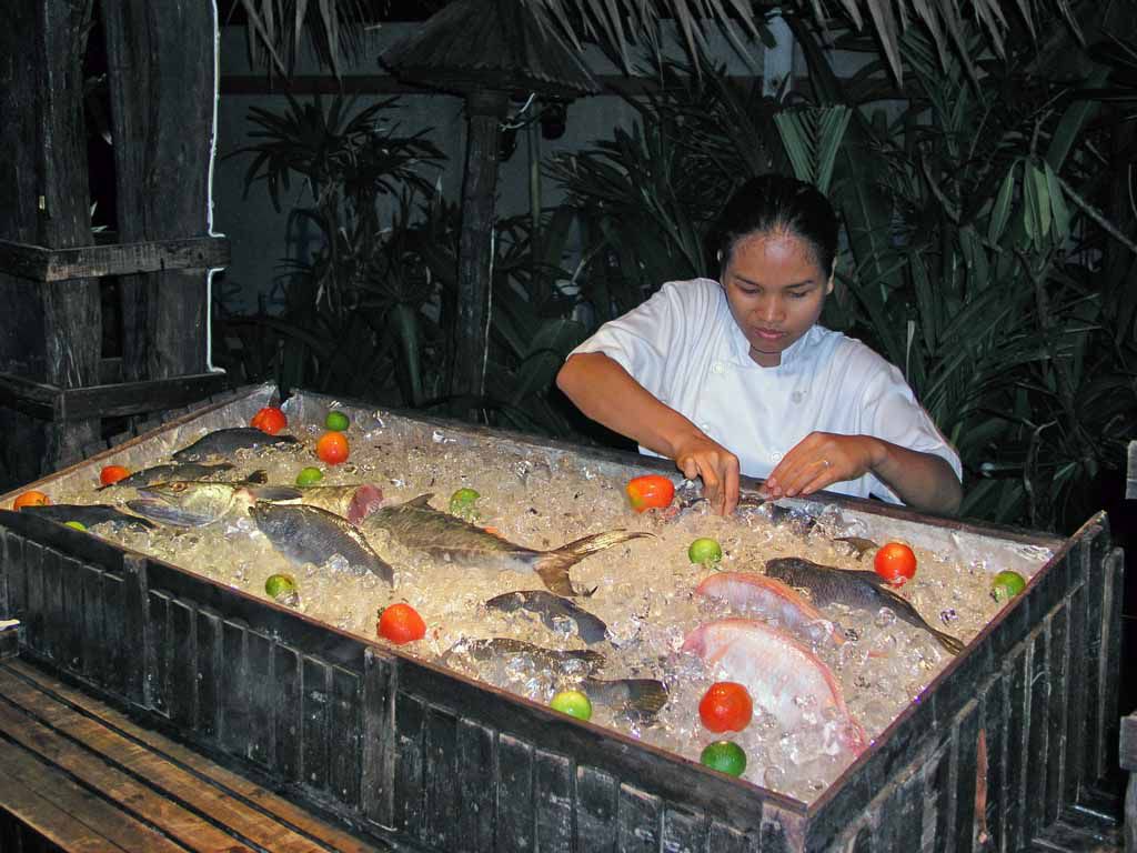 Fisch im Tropicana Resort, vor ...