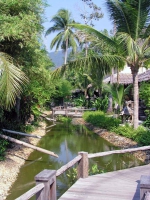 Tropicana Resort bei Tag