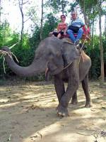 Sai Yok Elefanten Camp