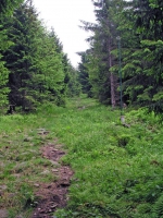 Spindlermühle, Fußweg von der Spindlerbaude Richtung Ort