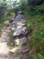 Spindlermühle, Weg an der weißen Elbe